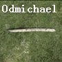 odmichael